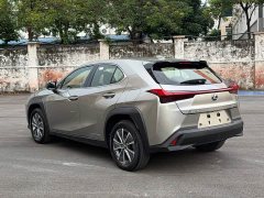Lexus UX New Energy 2020 300e Pure Joy Edition - ფოტო 12