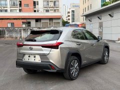 Lexus UX New Energy 2020 300e Pure Joy Edition - ფოტო 13