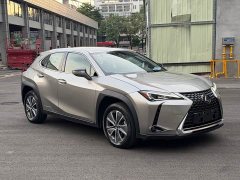 Lexus UX New Energy 2020 300e Pure Joy Edition - ფოტო 3