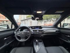 Lexus UX New Energy 2020 300e Pure Joy Edition - ფოტო 6