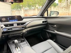 Lexus UX New Energy 2020 300e Pure Joy Edition - ფოტო 8