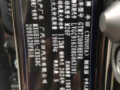 Toyota Frontlander 2023 2.0L Intelligent Hybrid Dual Engine Luxury Edition - ფოტო 10