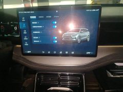 BYD Tang New Energy 2021 DM-i 112KM Premium Edition - ფოტო 20