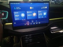 BYD Tang New Energy 2021 DM-i 112KM Premium Edition - ფოტო 9