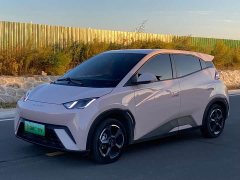 BYD Seagull 2023 Freedom Edition - ფოტო 1