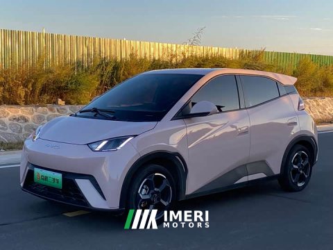 2024 BYD Seagull 2023 Freedom Edition - ავტომობილი ჩინეთიდან