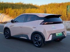 BYD Seagull 2023 Freedom Edition - ფოტო 6