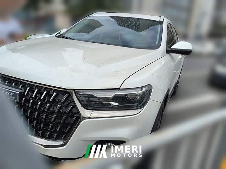 Haval H6 National Trend Edition 1.5T Automatic Champion Version