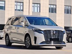 Buick GL8 ES Land Executive Luxury Enjoyable Edition - ფოტო 3