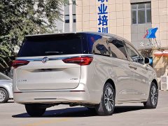 Buick GL8 ES Land Executive Luxury Enjoyable Edition - ფოტო 7