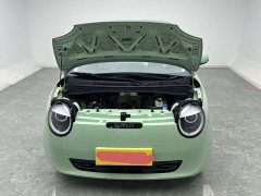 Changan Lumin 205km Xiangqin Edition - ფოტო 17