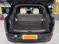 Denza N8L Premium Edition - photo 14