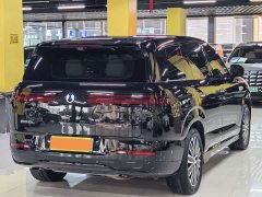 Denza N8L Premium Edition - photo 18