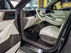 Denza N8L Premium Edition - photo 4