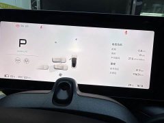 XPeng P7 P7i 702 Pro - ფოტო 13