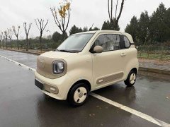 FAW Besturn Xiaoma 222km Colorful Edition - ფოტო 1