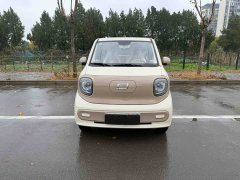 FAW Besturn Xiaoma 222km Colorful Edition - ფოტო 2