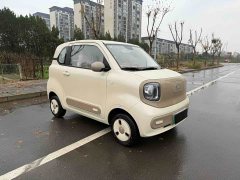 FAW Besturn Xiaoma 222km Colorful Edition - ფოტო 4