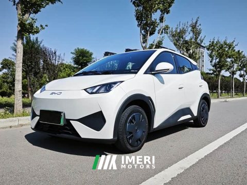 2025 BYD Seagull Smart Drive 305km Vitality Edition - ავტომობილი ჩინეთიდან