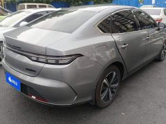 BYD Destroyer 05 DM-i 120KM Luxury - ფოტო 3