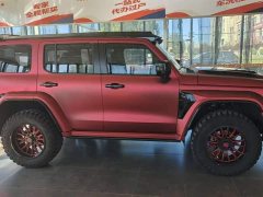 Tank 300 City Edition 2.0T Stylish - ფოტო 2