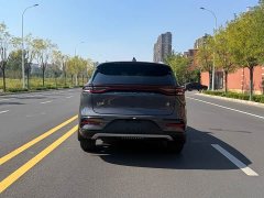 BYD Tang New Energy 2021 DM-i 112KM Premium Edition - ფოტო 3