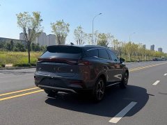BYD Tang New Energy 2021 DM-i 112KM Premium Edition - ფოტო 4