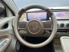 Wuling Binguo 333km Lingxi Premium Edition - ფოტო 13