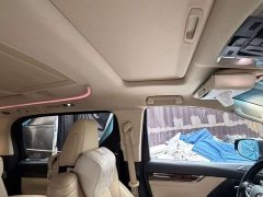 Toyota Alphard Hybrid 2.5L Luxury - ფოტო 8