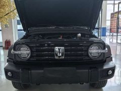 Tank 300 Off-Road Edition 2.0T Conqueror - ფოტო 18