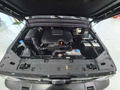 Tank 300 Off-Road Edition 2.0T Conqueror - ფოტო 19