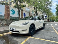 Tesla Model Y 2023 Rear-Wheel Drive - ფოტო 1
