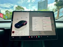 Tesla Model Y 2023 Rear-Wheel Drive - ფოტო 10