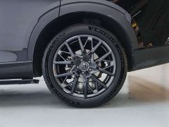 GAC Aion GS8 2024 Pioneer Series 2.0T GDI FWD Luxury Smart Connected 7-Seater - ფოტო 5