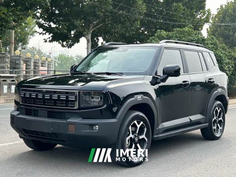 2025 Jetour Shanhai T1 150km Discovery - ავტომობილი ჩინეთიდან