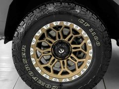 Tank 400 New Energy 2024 Hi4-T Off-Road Edition - ფოტო 4