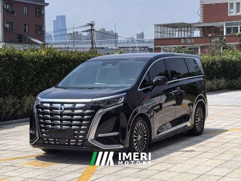2024 Denza BYD Denza D9 DM-i 980 Four-Wheel Drive Flagship - ავტომობილი ჩინეთიდან