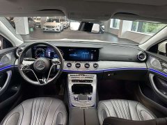 Mercedes-Benz CLS 300 Dynamic - ფოტო 13