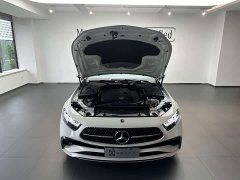 Mercedes-Benz CLS 300 Dynamic - ფოტო 5