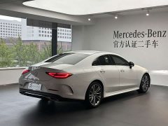 Mercedes-Benz CLS 300 Dynamic - ფოტო 7