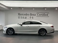 Mercedes-Benz CLS 300 Dynamic - ფოტო 8