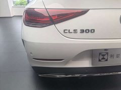 Mercedes-Benz CLS 300 Dynamic - ფოტო 9