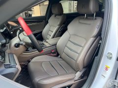 BYD Han 2020 DM AWD Performance Luxury - ფოტო 13