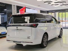 Buick GL8 Land Executive Cabin Advance Edition - ფოტო 13