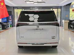 Buick GL8 Land Executive Cabin Advance Edition - ფოტო 14