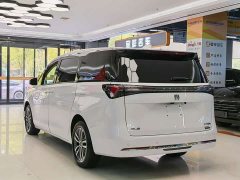 Buick GL8 Land Executive Cabin Advance Edition - ფოტო 15