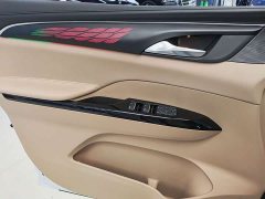 Buick GL8 Land Executive Cabin Advance Edition - ფოტო 7
