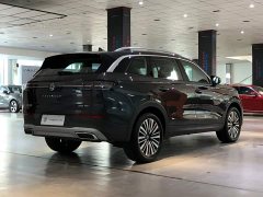 Volkswagen Lanxun 2023 330TSI Luxury Touring Edition - ფოტო 12
