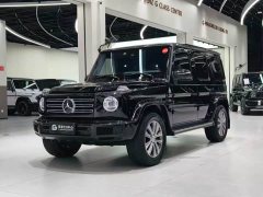 Mercedes-Benz G-Class G 350 - ფოტო 1