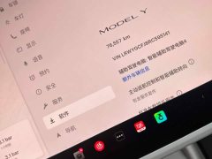 Tesla Model Y Rear-Wheel Drive - ფოტო 10